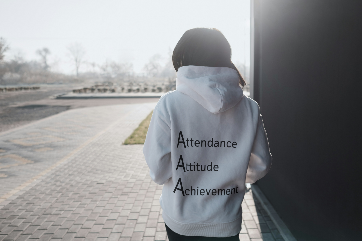 Edison Academy I AAA I Hoodie